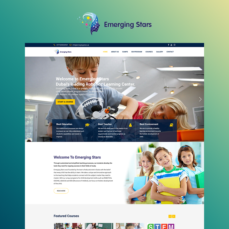 Emerging Stars